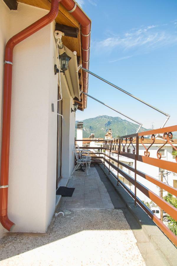 Tasos House Apartment Kalampáka Ngoại thất bức ảnh